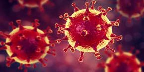 bilder-gesellschaft-16_9coronavirus_ms_320